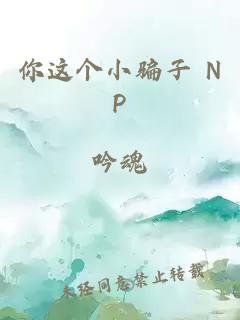 你這個小騙子 NP